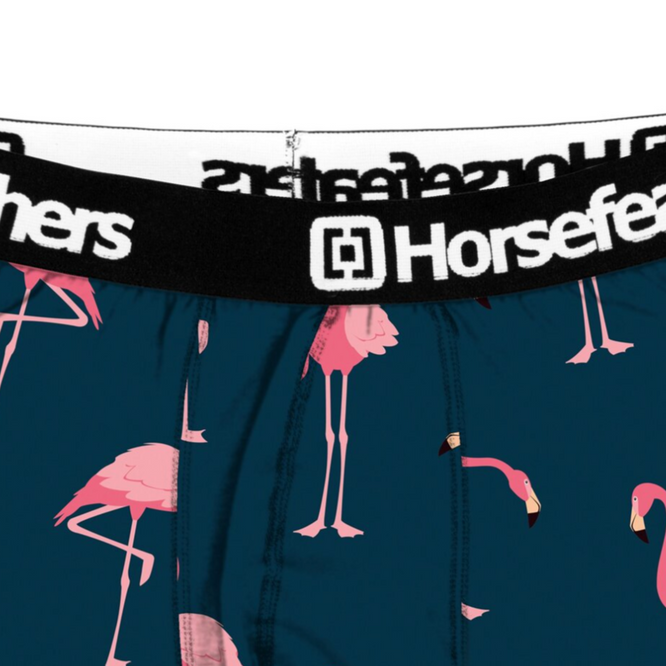 Sidney Boxer Shorts Flamingos