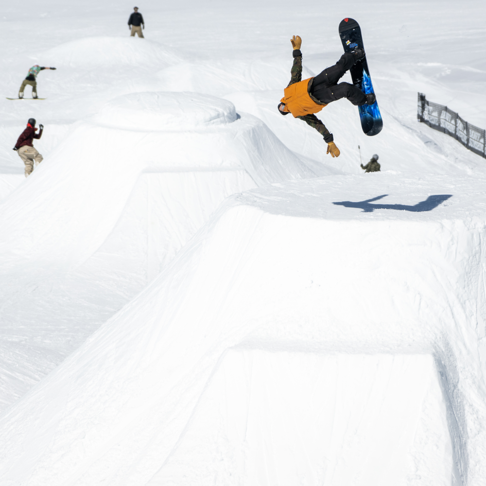 Skunk Ape II 2024 Snowboard – Stoked Boardshop