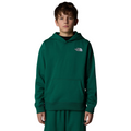 Kids Oversized Essential TNF Light Grey Heather