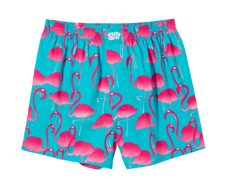 Lousy Flamingo 2pack Boxershorts Black/ Blue